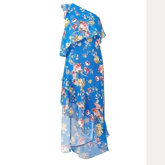 Slate & Willow Blue Floral Maxi One Shoulder Ruffle Dress - Picture 1 of 8